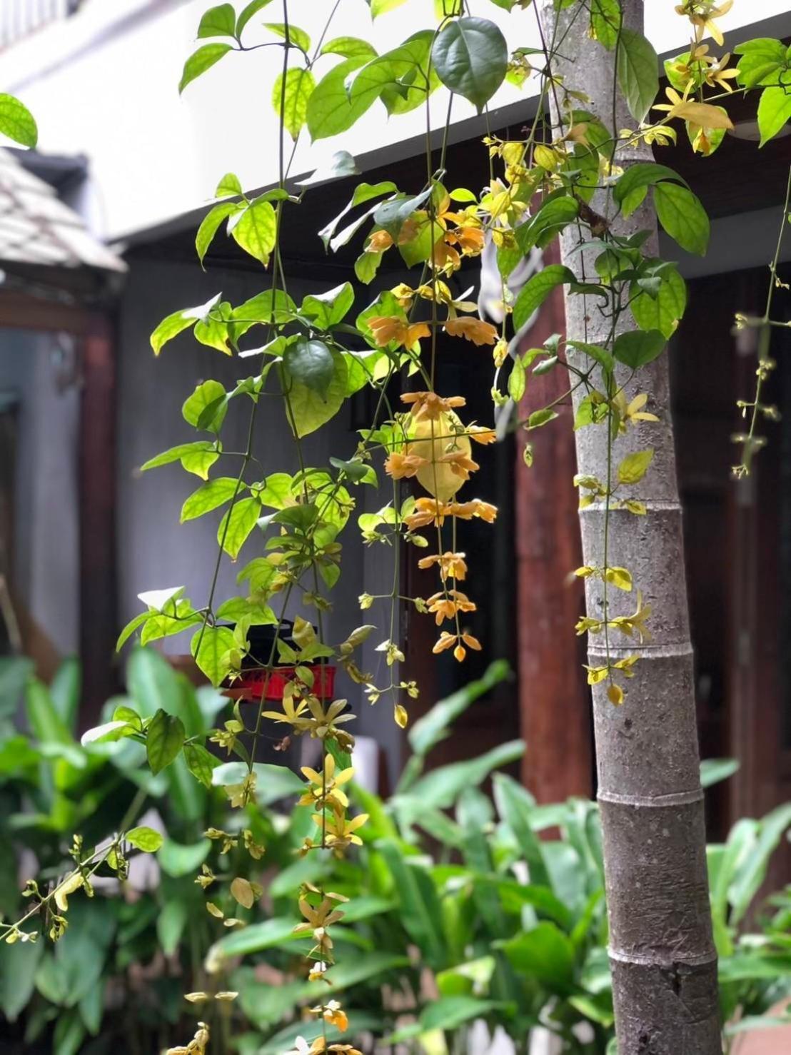 Kham Mon Lanna Resort Chiang Mai Exterior foto